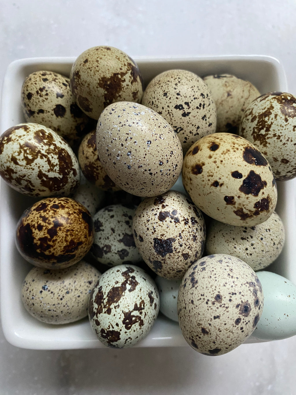 Organic Quail Eggs
